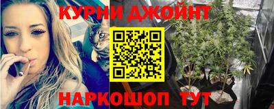 ECSTASY Лесосибирск