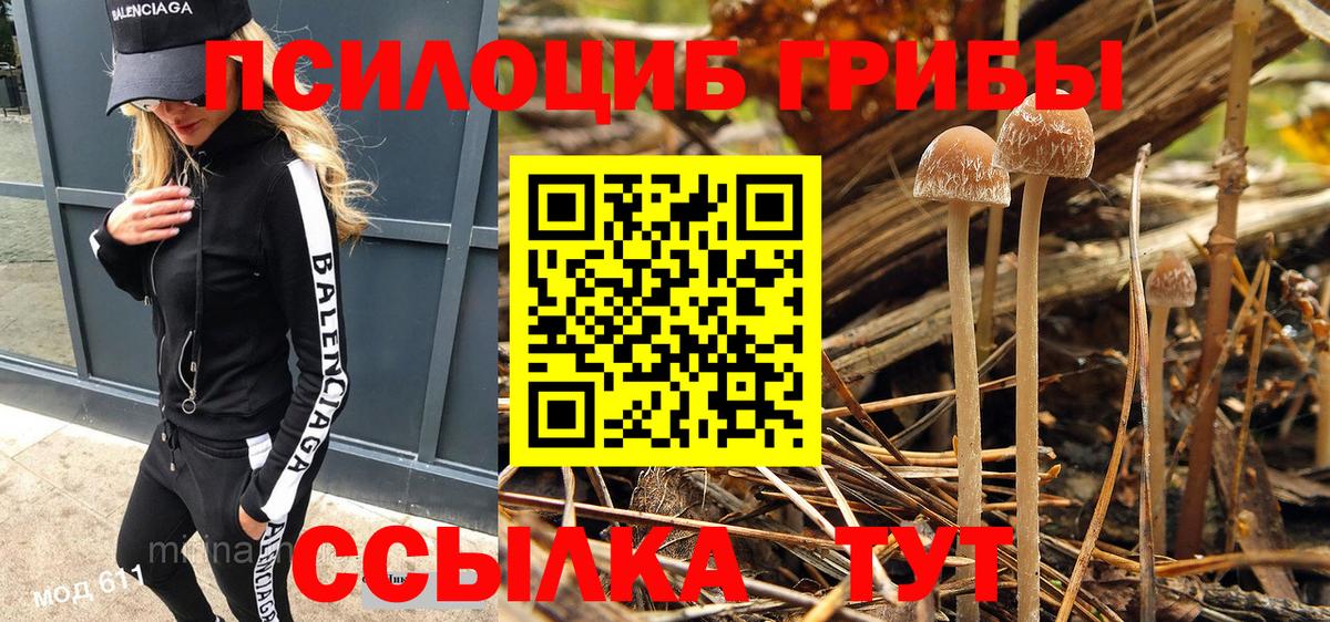 Галлюциногенные грибы мицелий  Галлюциногенные грибы Psilocybe  Татарск  Вход с VPN 