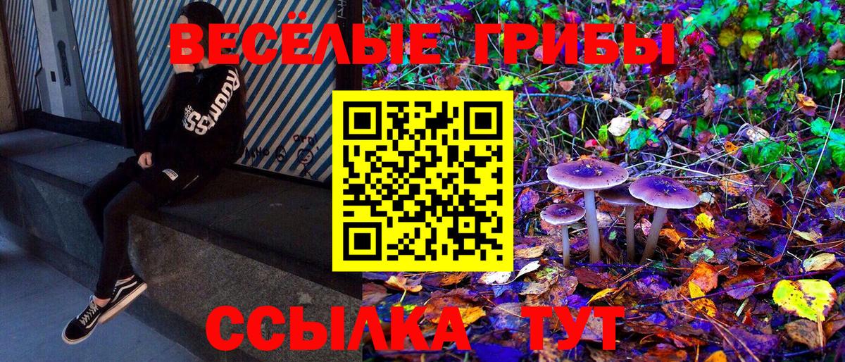 Галлюциногенные грибы Psilocybine cubensis Татарск